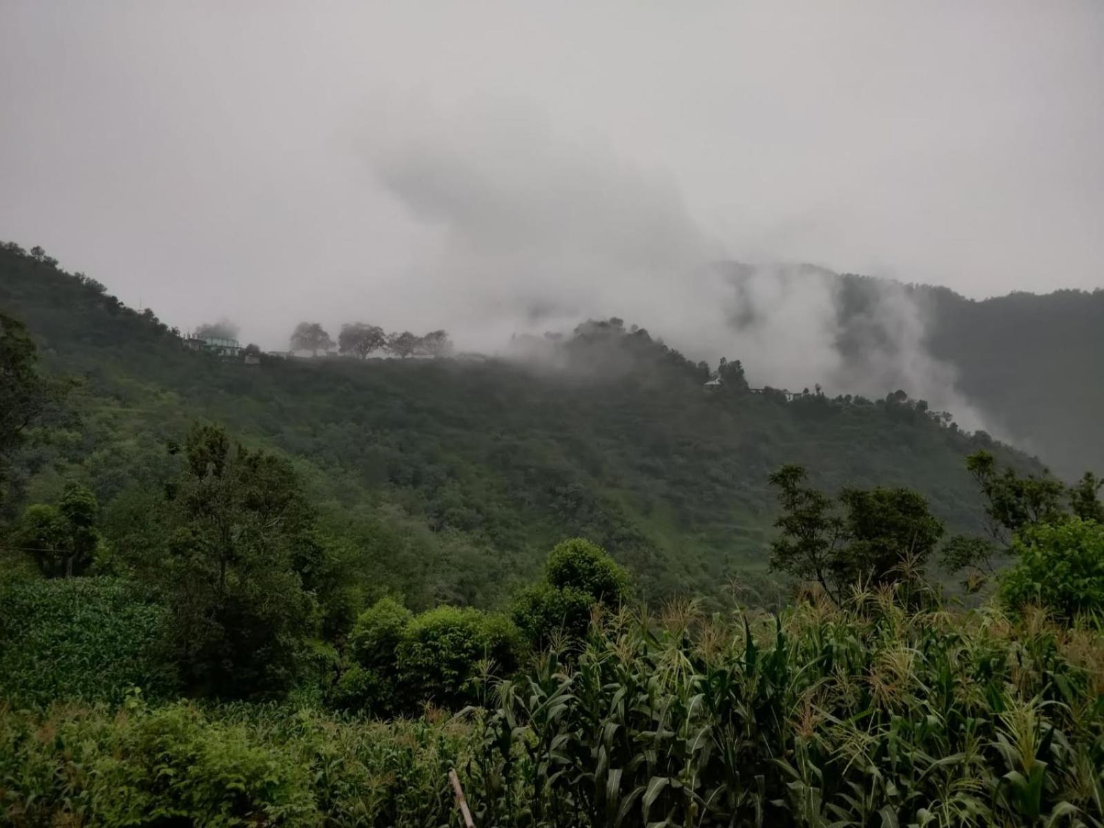 Hotel Le Halcyon , Kasauli Солан Экстерьер фото